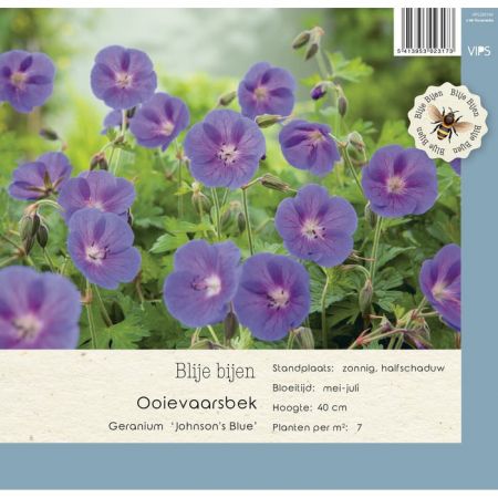 Geranium Johnsons Blue P9