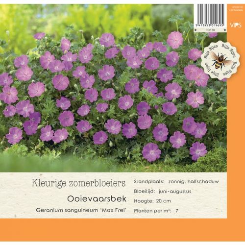 Geranium sanguineum Max Frei p9