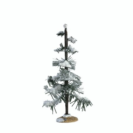 GLITTERING PINE, MEDIUM