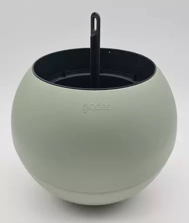 Globee in box olijf - afbeelding 1