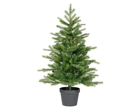 Grandis miniboom pot h90cm groen