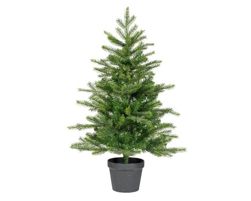 Grandis miniboom pot h90cm groen