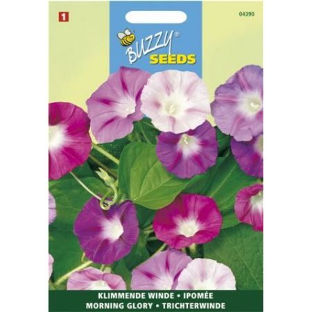 Ipomoea purpurea mix 2g