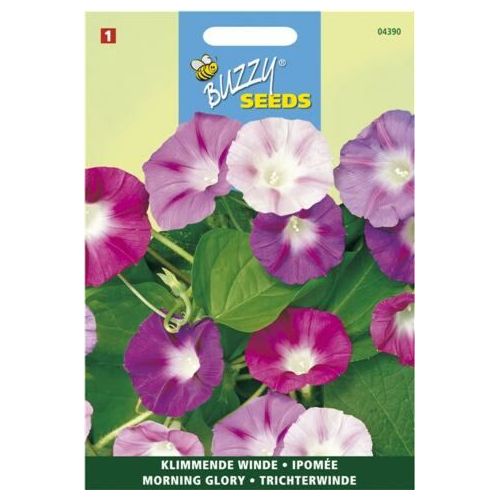 Ipomoea purpurea mix 2g