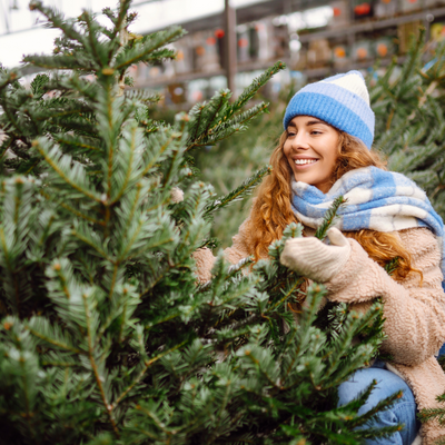 Kerstbomen - Weihnachtsbäume