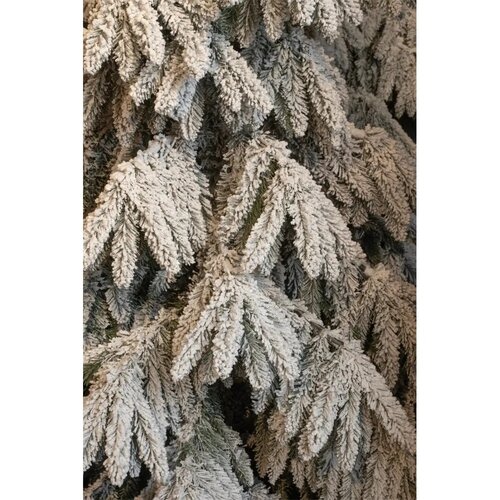 Kerstboom breithorn d147h260 grn - afbeelding 2