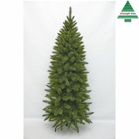 Kerstboom bristlecone pilar d89h215 grn - afbeelding 1