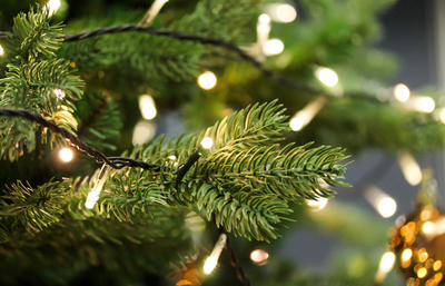 Kerstboomverlichting