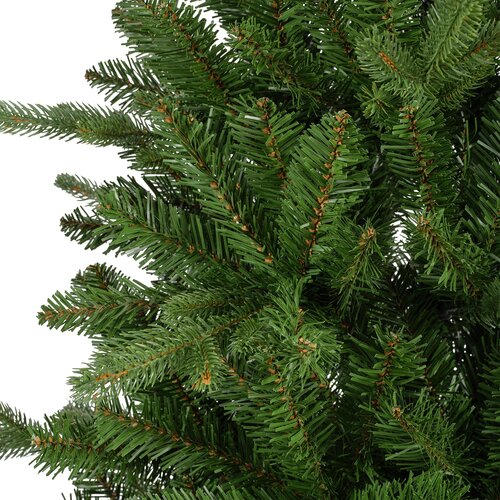 Killington boom fir d113h240cm groen - afbeelding 3