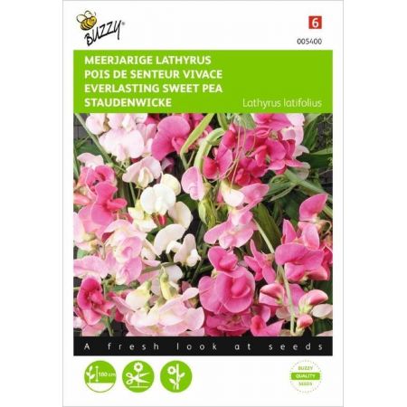 Lathyrus latifolius mix 2g