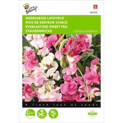 Lathyrus latifolius mix 2g