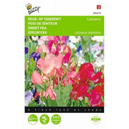 Lathyrus multif. colorama 5g