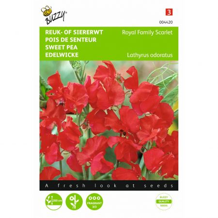 Lathyrus od royal family rood 4g