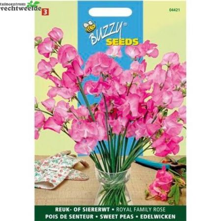 Lathyrus od royal family rose 4g