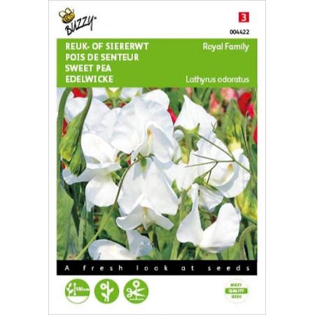 Lathyrus od royal family wit 4g