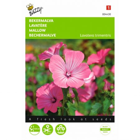 Lavatera trimestris rose/rood 1.5g