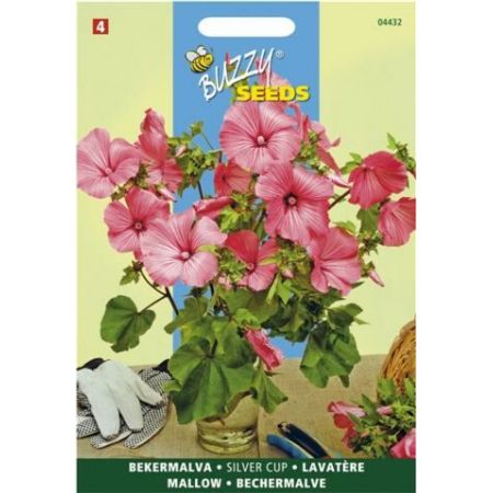 Lavatera trimestris silvercup 1.5g