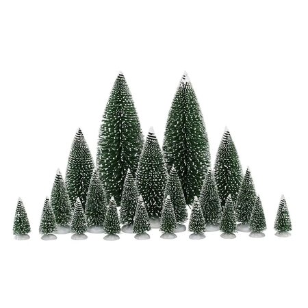 ASSORTED PINE TREES 21dlg