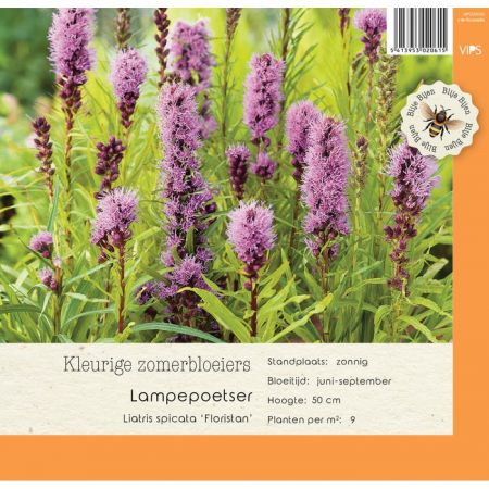 Liatris spicata Floristan p9