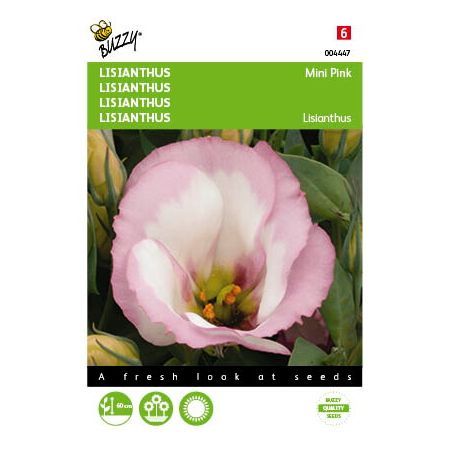 Lisianthus mini rose 25zdn