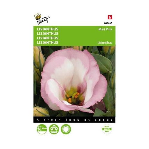 Lisianthus mini rose 25zdn