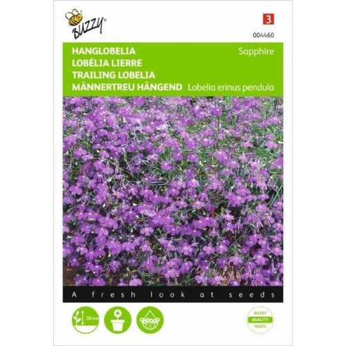 Lobelia pendula saphir 0.25g