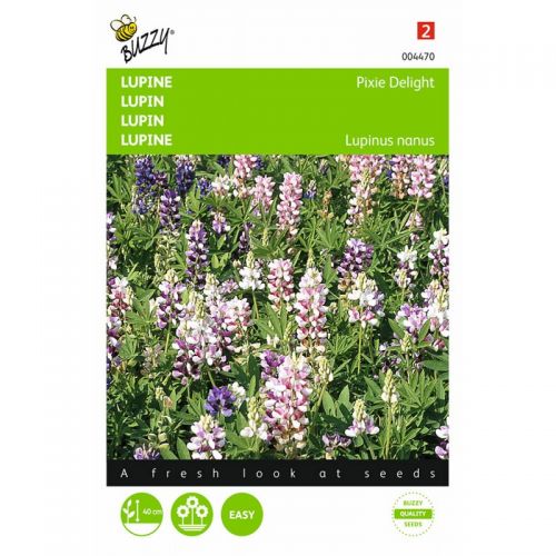 Lupinus nanus pixie delig mix2 g