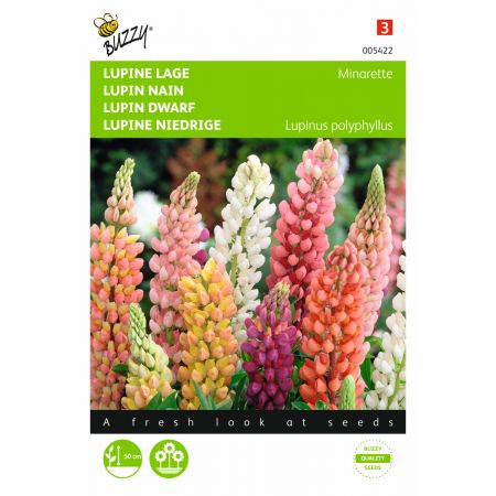 Lupinus polyphyllus russel min 1.5g