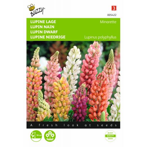 Lupinus polyphyllus russel min 1.5g