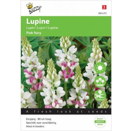 Lupinus rose laag pink fairy 2g