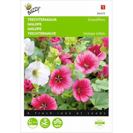 Malope trifida grandiflora mix 2g