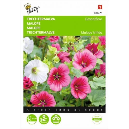 Malope trifida grandiflora mix 2g