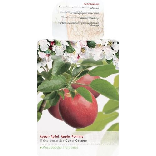 Malus d. 'Cox's Orange Pippin'