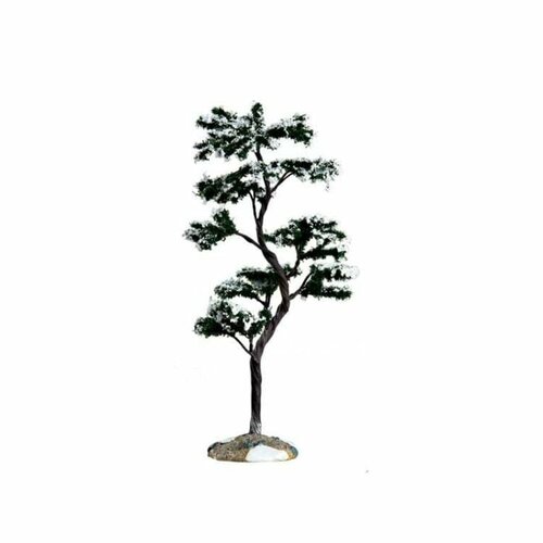 MARCESCENT TREE, LARGE