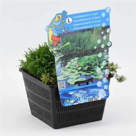 Mix mand 18 cm met 3 zuurstofpl