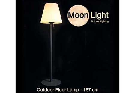 Moonlight lamp h187cm grote kap