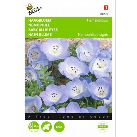 Nemophila insignis hemelsblauw 1g