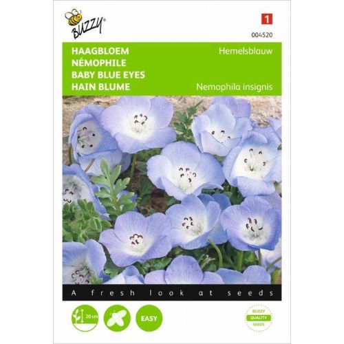 Nemophila insignis hemelsblauw 1g