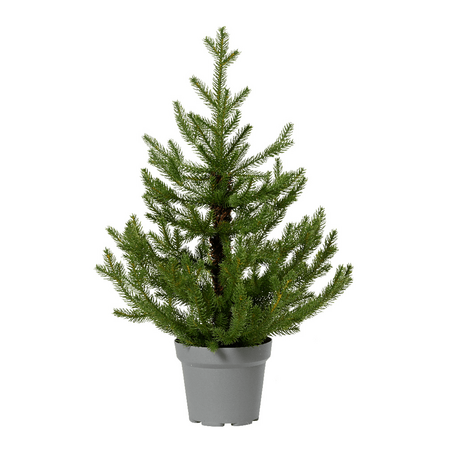 Norway mini boom d63h90cm grn