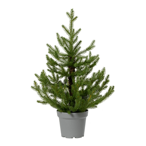 Norway mini boom d63h90cm grn