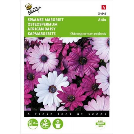 Osteospermum akila mix spaanse marg