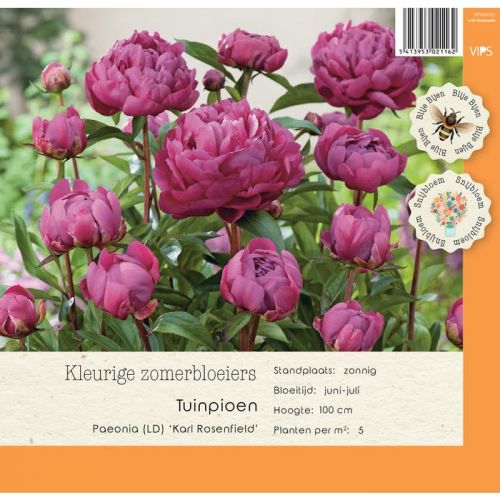 Paeonia (LD) Karl Rosenfield P9