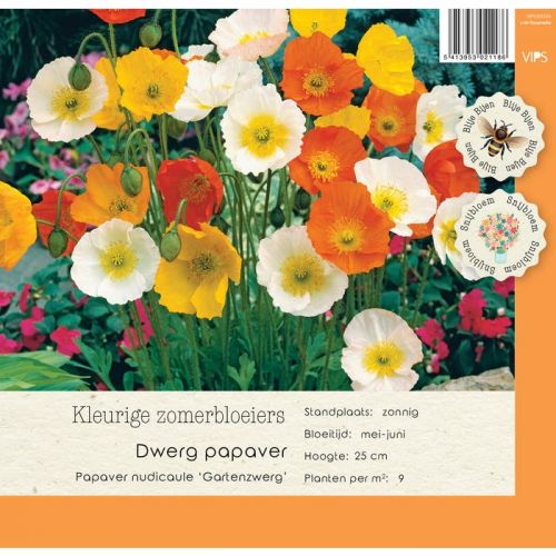 Papaver nudicaule Gartenzwerg P9