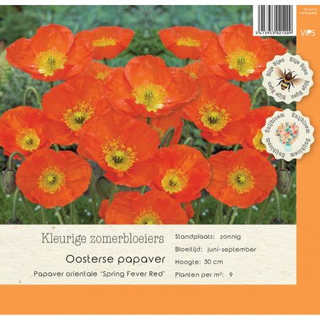 Papaver nudicaule Spring fever R p9