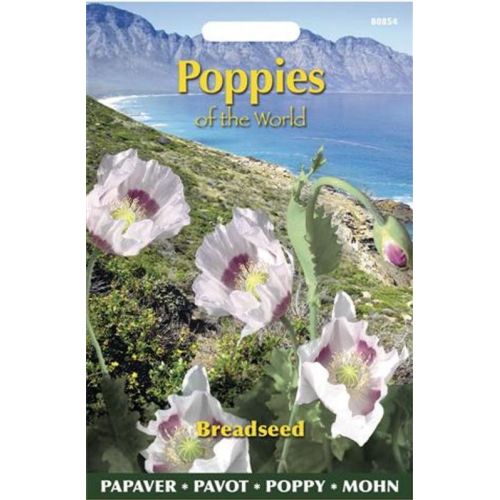 Papaver poppies of the world b 1g