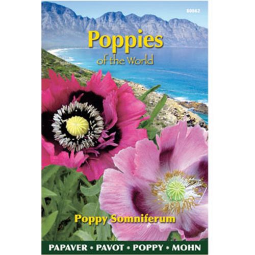 Papaver poppies of the world s 1g - afbeelding 2