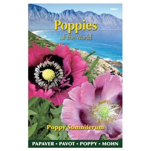 Papaver poppies of the world s 1g - afbeelding 2
