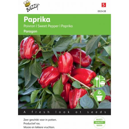 Paprika snack patio paragon 6zdn