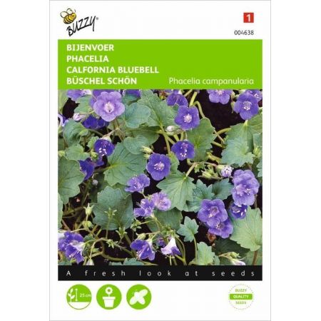 Phacelia campanularia 0.1g