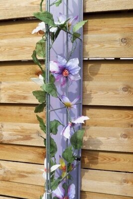 Plantgeleiding - Rank- und Kletterhilfen